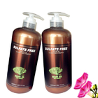 СЛС освобождают шампунь обработки волос масла Арган разводя водой для сухих &amp; поврежденных волос
